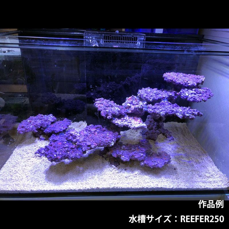 Aquarium Tallman 受注生産 Shortmanオリジナル レイアウト済み人工ライブロック