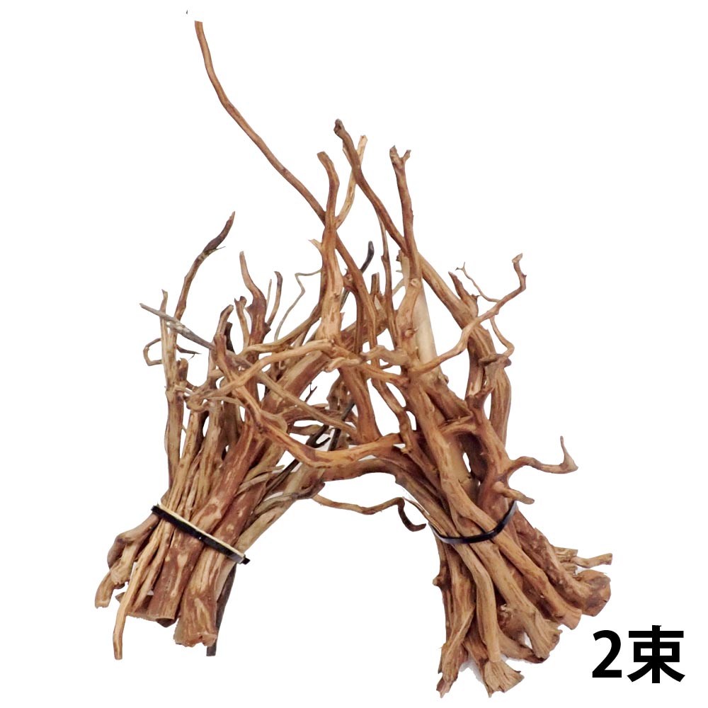 Aquarium Tallman 流木